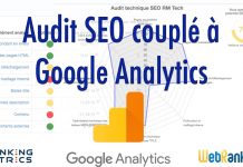 Audit SEO couplé à Google Analytics